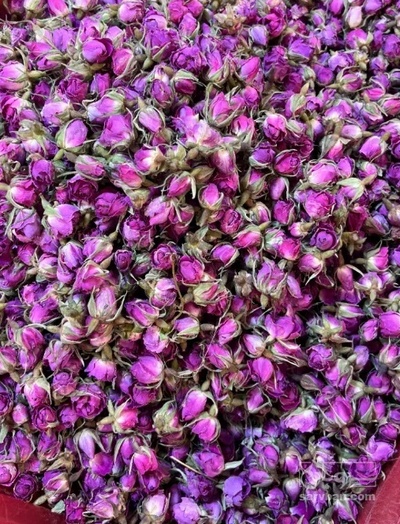 فروش غنچه گل محمدی (گیاه‌ دارویی)