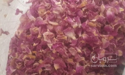 فروش گل محمدی (گیاه‌ دارویی)