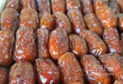 فروش خرما