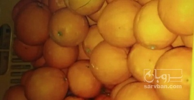 فروش پرتقال کوهستان