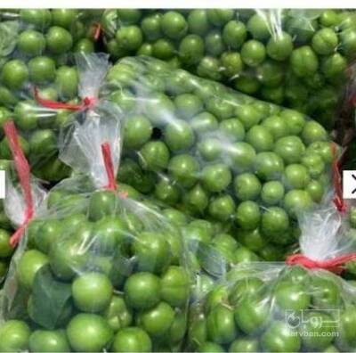 فروش گوجه سبز