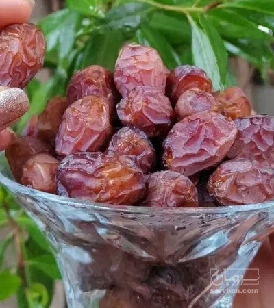 فروش خرما کلوته