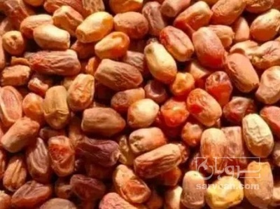 فروش خرما مرداسنگ