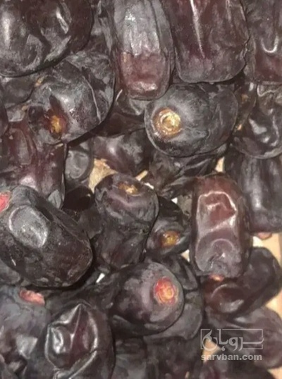 فروش خرما زاهدی