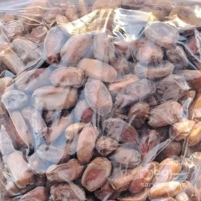 فروش خرما شکری
