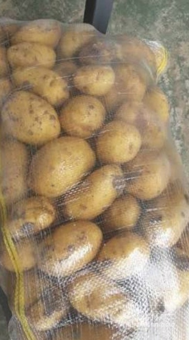فروش سیب زمینی جلی