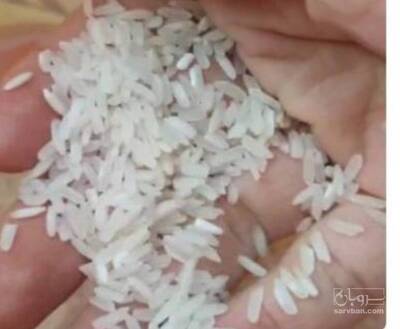 فروش برنج