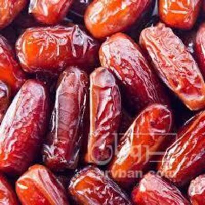 فروش خرماربی
