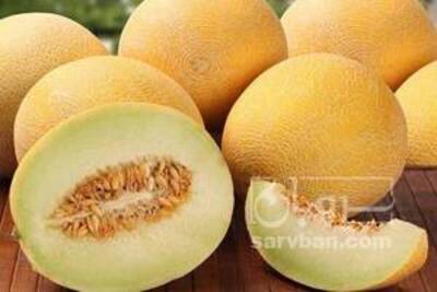 فروش ملون