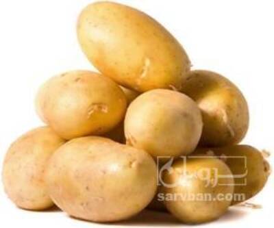 فروش سیب زمینی