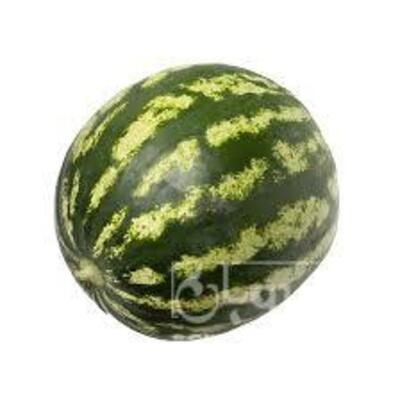 فروش هندوانه
