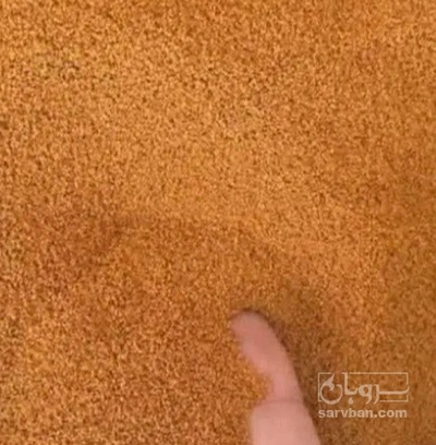 فروش خاکشیر (گیاه‌ دارویی)