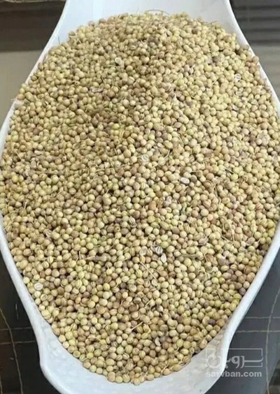 فروش تخم گشنیز (گیاه‌ دارویی)