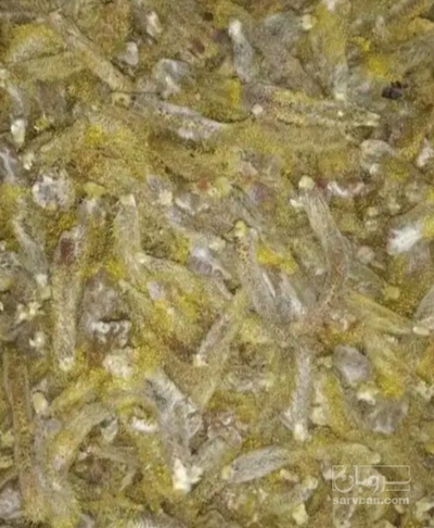 فروش عرق بهارنارنج