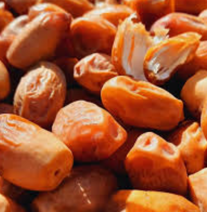 فروش خرما زاهدی
