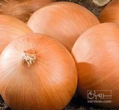 فروش پیاز زرد