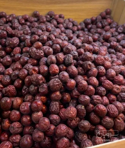 فروش عناب