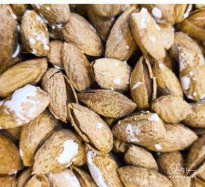 فروش بادام