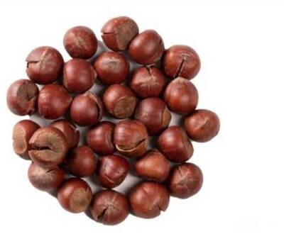 فروش فندق