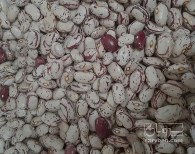 فروش لوبیا چیتی