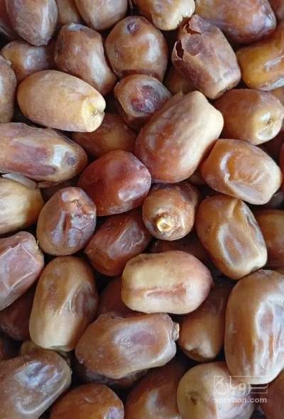 فروش خرما زاهدی