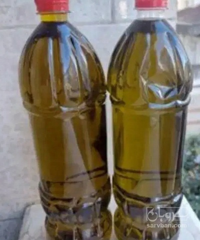 فروش روغن زیتون بی بو