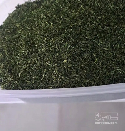 فروش شوید خشک (گیاه‌ دارویی)