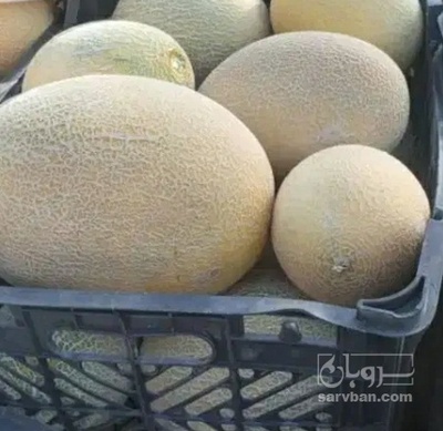 فروش ملون