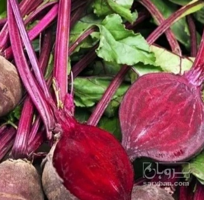 فروش چغندر لبو