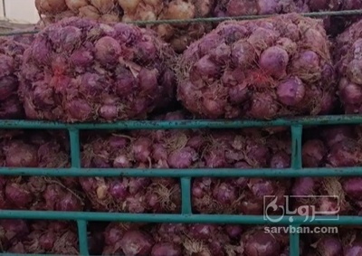 فروش پیاز قرمز