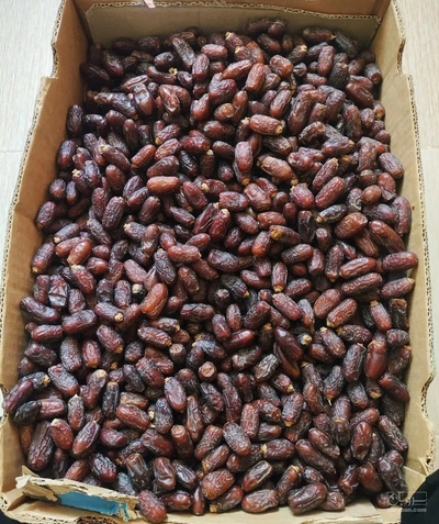 فروش خرما