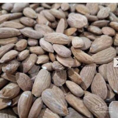 فروش مغز بادام سنگی مخصوص