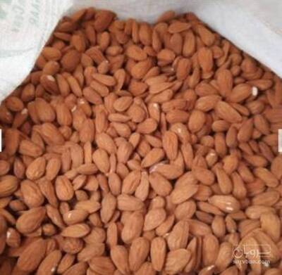 فروش بادام
