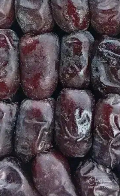 فروش خرما