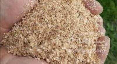فروش سبوس گندم