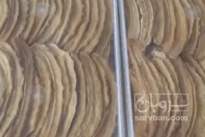فروش موز خشک