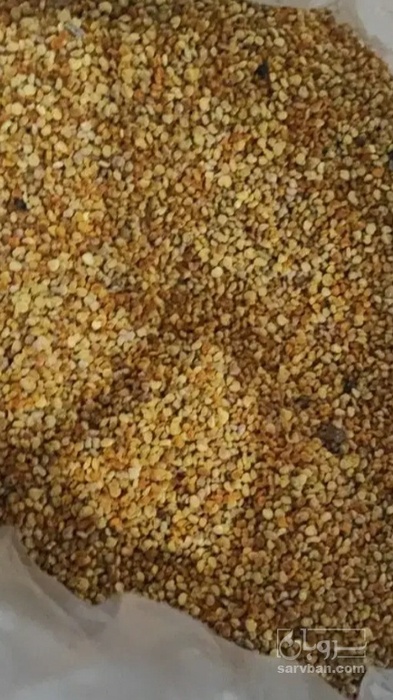 فروش گرده گل