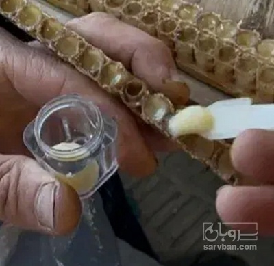 فروش ژل رویال