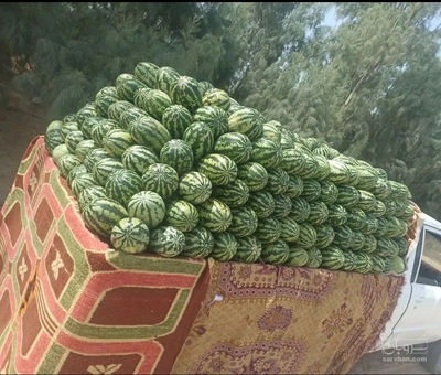 فروش هندوانه