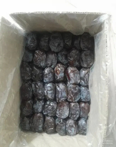 فروش خرما