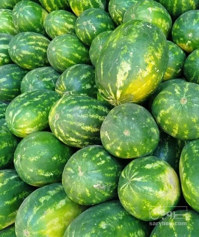 فروش هندوانه