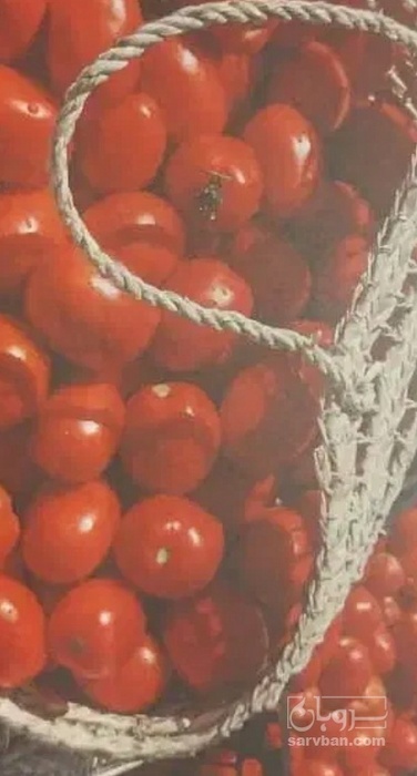 فروش گوجه فرنگی