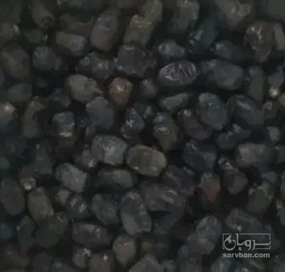 فروش خرما کلوته