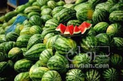 فروش هندوانه
