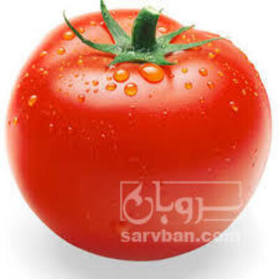 فروش گوجه فرنگی