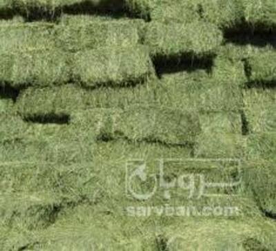 فروش یونجه