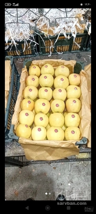 فروش سیب زرد