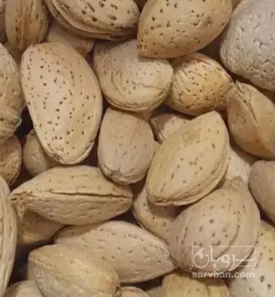 فروش بادام