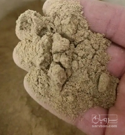 فروش پودر زیره سبز