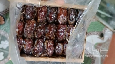 فروش خرما کبکاب